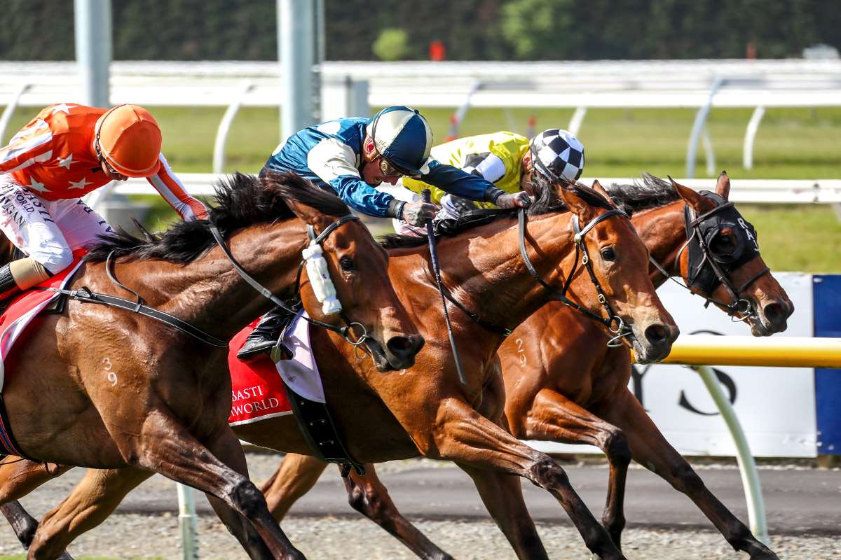 Pier, in the centre, gets up to win the 2000 Guineas!