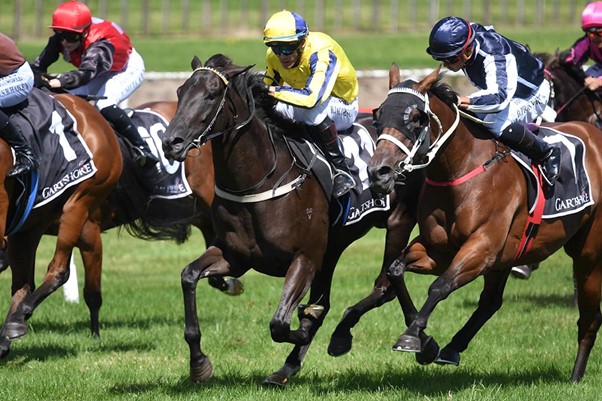 Black Opium (No. 11 in yellow) storming home to win on debut