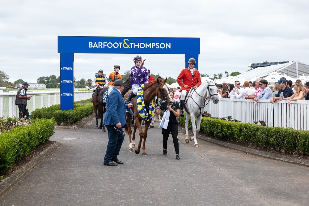 Mahrajaan, winner of the 2024 Barfoot & Thompson Auckland Cup race - jockey Sam Weatherley, trainers Shaune Ritchie & Colm Murray (Photo: RaceImages)