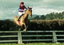 LORD ZIRITO 2 - WELLINGTON 15-7-1995 - PHOTO RACE IMAGES COLLECTION..jpg