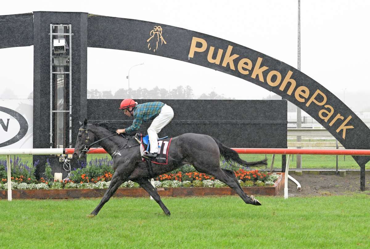 Kingfisher wins at Pukekohe Park on 22 April 2023