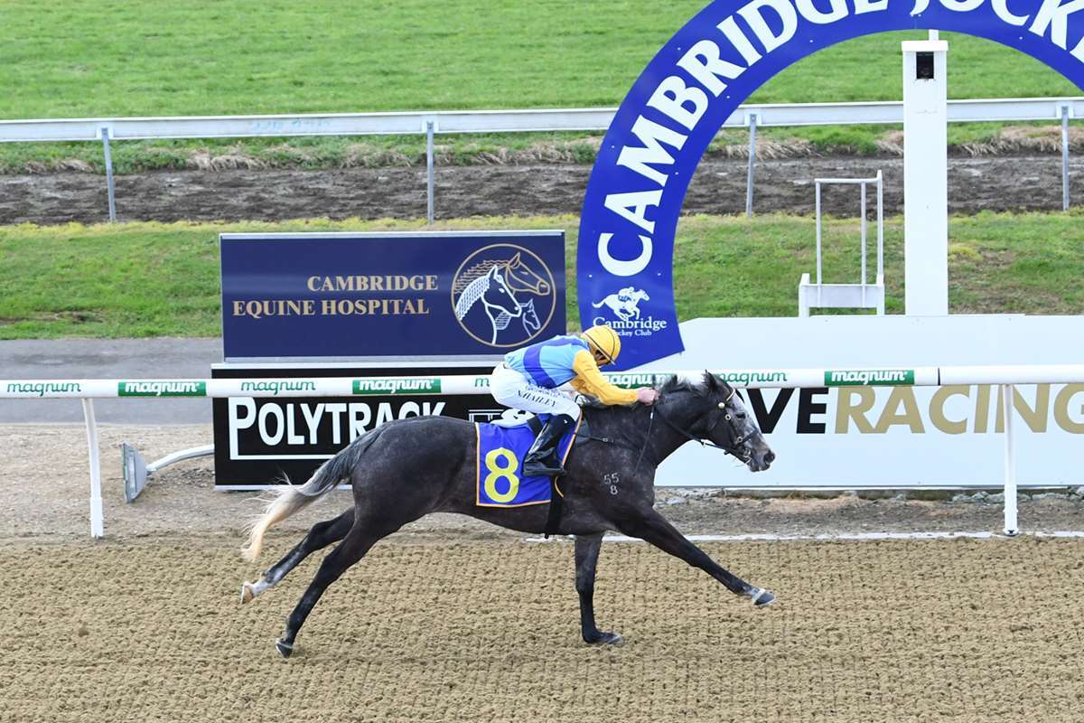 Chattahoochee wins at Cambridge Synthetic, 24 June 2023 - Owners Ms L M Anderson & B G Black