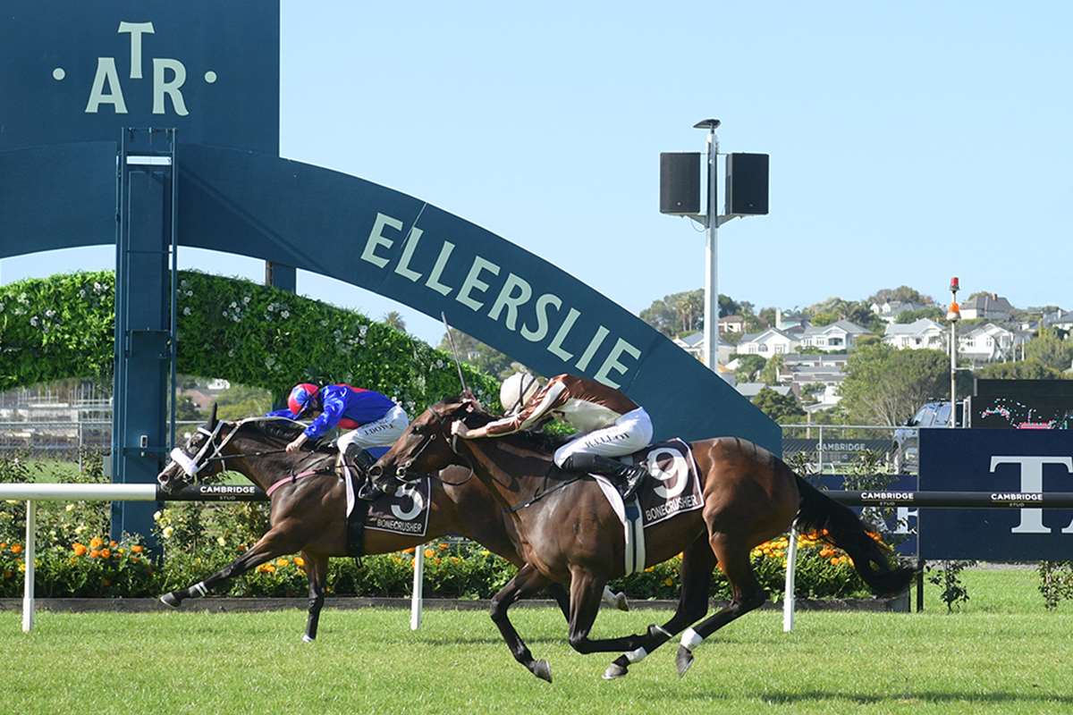 El Vencedor beats Legarto by a neck