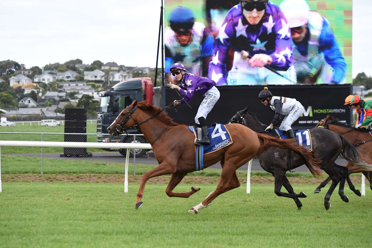 Mahrajaan wins the 2024 Barfoot & Thompson Auckland Cup