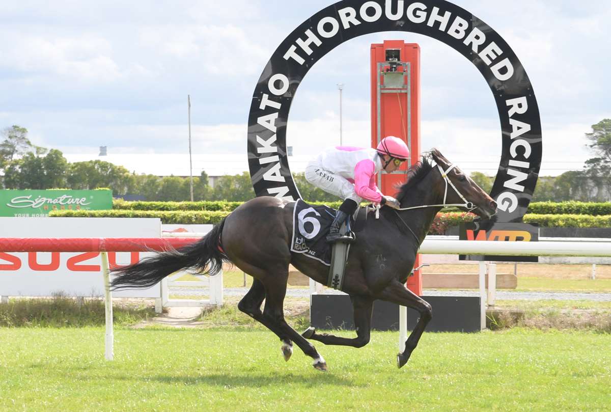 Moet Down gets her debut win on 17 January 2024 at Te Rapa