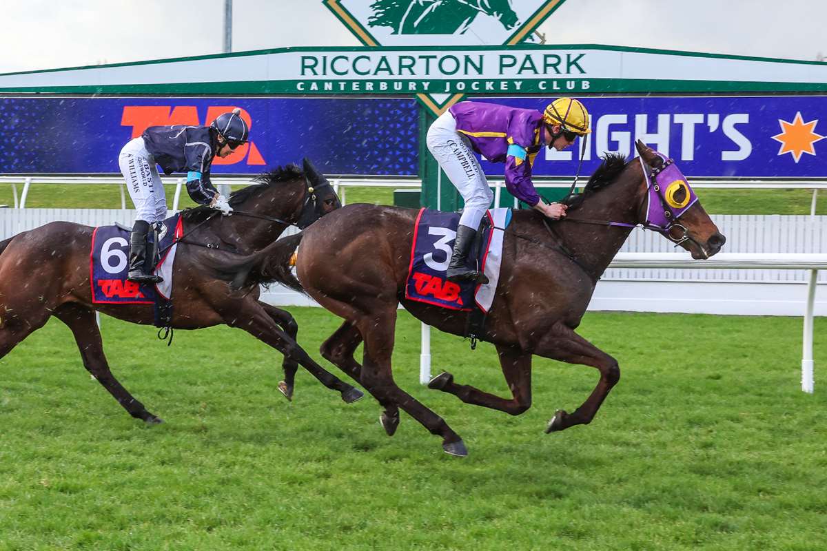 Mr Bully Tee wins at Riccarton on 13 September 2025