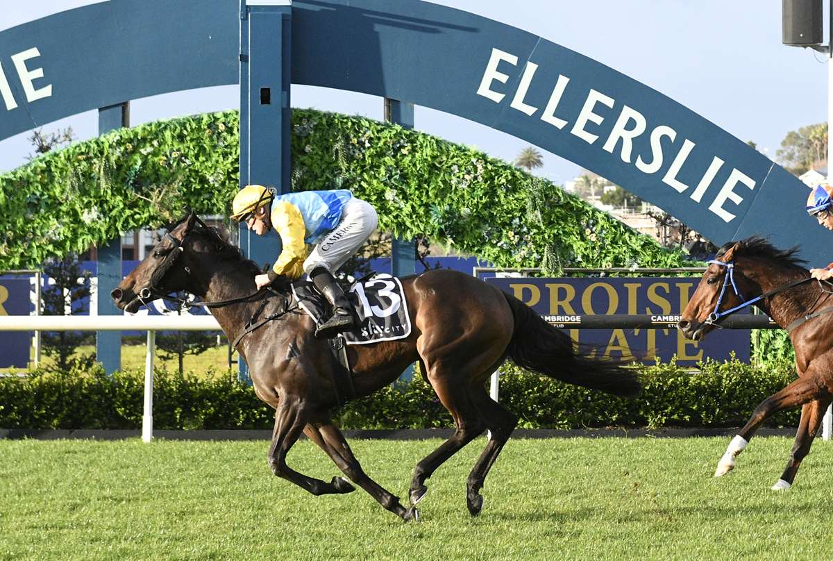 Mizella wins at Ellerslie on 6 September 2025