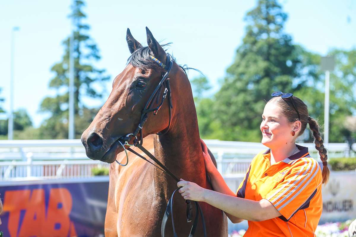 OutofBlue3 25Oct.jpg