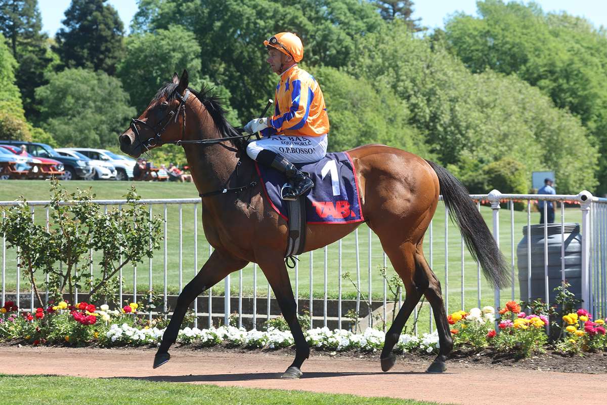 Parading before winning, 25 October 2025