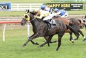 2267962 - OMEGA BOY - TAURANGA 14-3-2026 RACE IMAGES PHOTO KENTON WRIGHT 0D1A8291.jpg