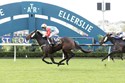 2292576 - WEE NESSY - AUCKLAND 27-4-2026 RACE IMAGES PHOTO KENTON WRIGHT 0D1A36102.jpg
